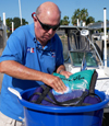 Life jacket cleaning