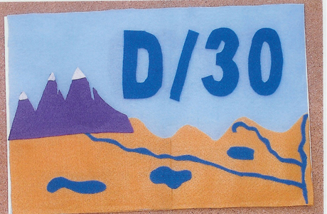 D30 Flag
